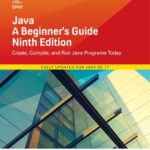 java beginner book